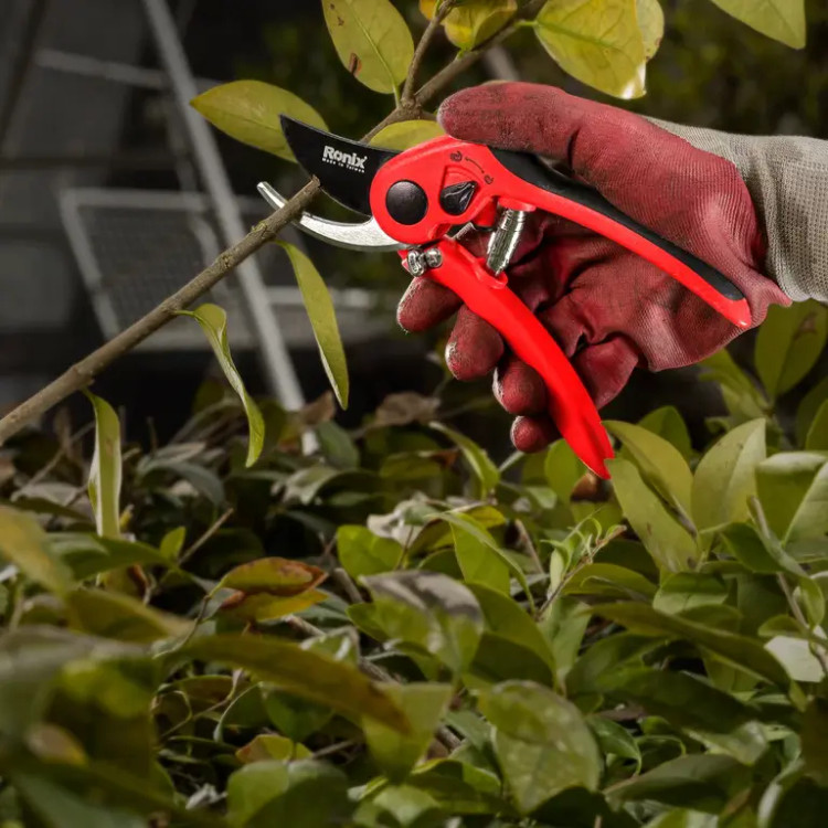 قیچی دستی باغبانی ویرگو تایوانی رونیکس 3108 RONIX (ارسال از ابزار حسین 24)